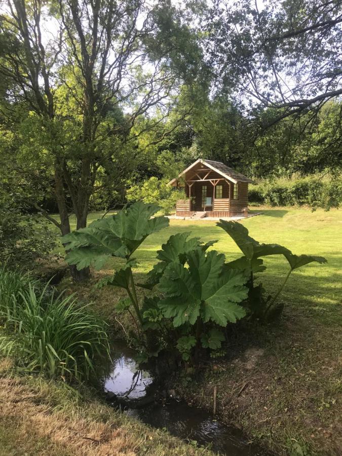 La Paix, Gite Bucolique En Normandie Conde-sur-Noireau Экстерьер фото