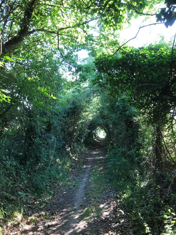 La Paix, Gite Bucolique En Normandie Conde-sur-Noireau Экстерьер фото